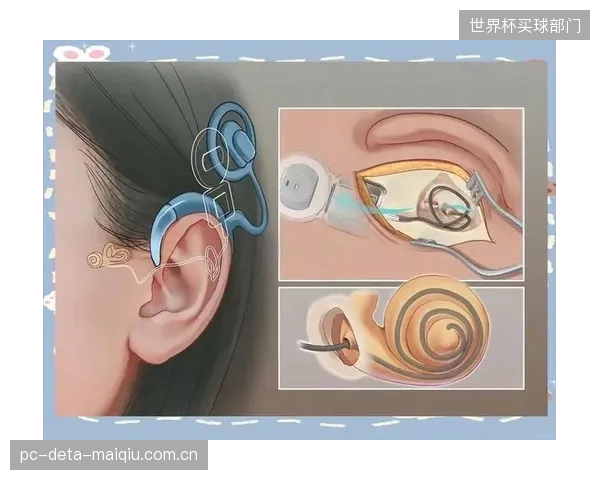 2030年的终极形态：模仿生物耳蜗结构的自适应穿孔铝板，将根据声源类型与强度自主调节其吸声特性